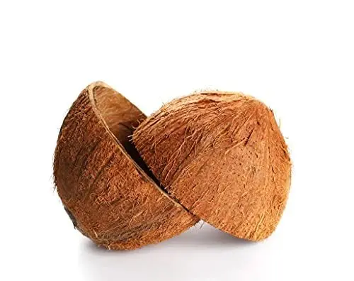 COCONUT SHELL FROM VIETNAM WITH CHEAP PRICE/ HOT DEAL EXPORT COCONUT ...