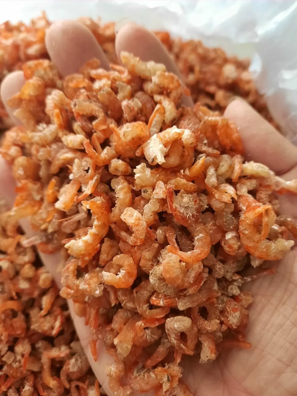 Best Price Dried Shrimp For Export Hot Selling Shrimp Dried Sea Food