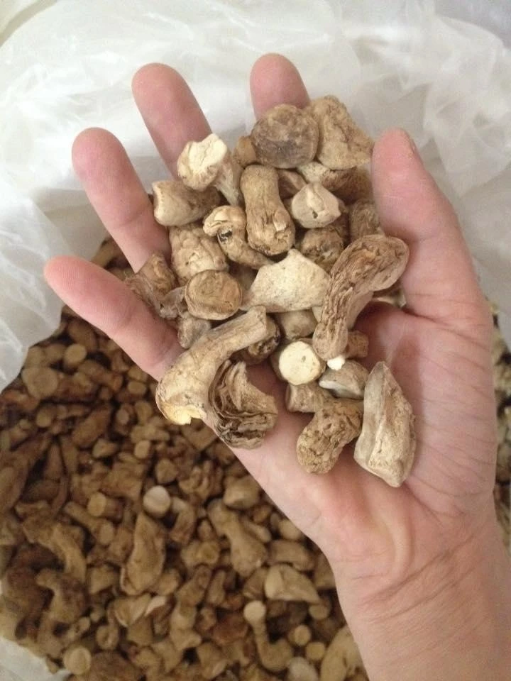 Premium Natural Dried Shiitake Mushroom Stems Good Delicious For