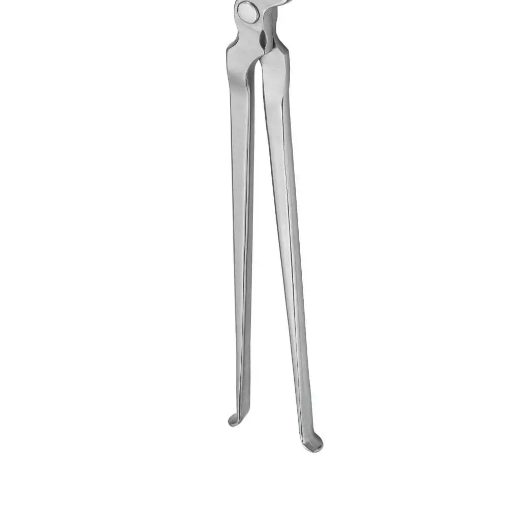 Tools Professional Metal Horse Hoof Farriers High Quality Nippers