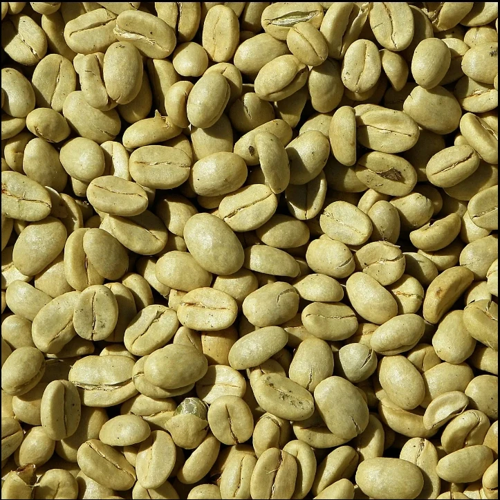 Wholesale Roasted Arabica Coffee Beans Best Price 100 Pure Arabica