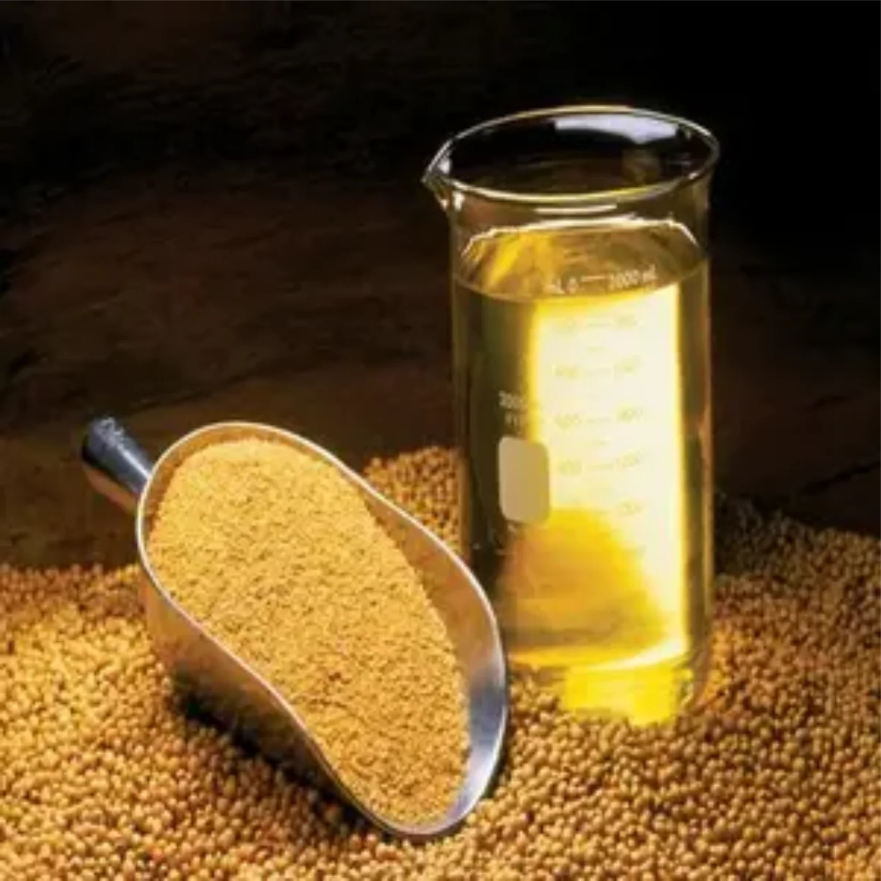 Wholesalers Best Supplier Soybean Meal For Animal Feed - Buy Top ...