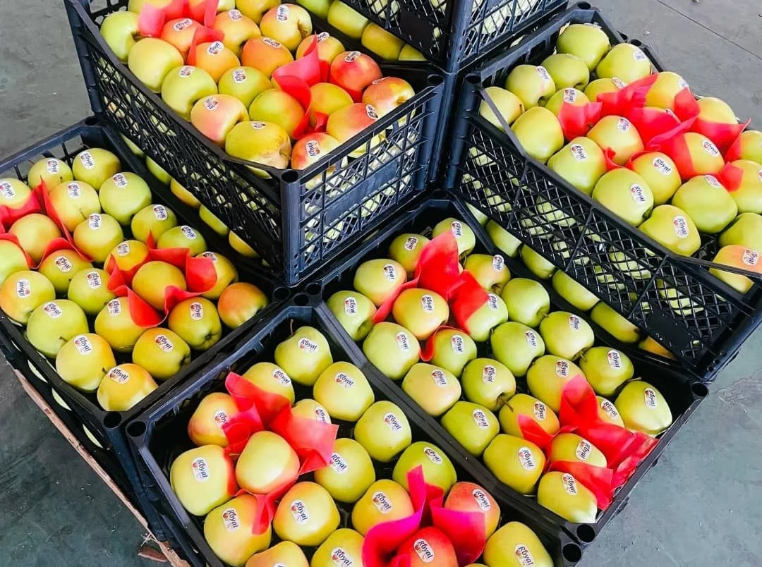 Fresh And Delicious Natural Highquality Sweet Fuji Apple Buy Premium