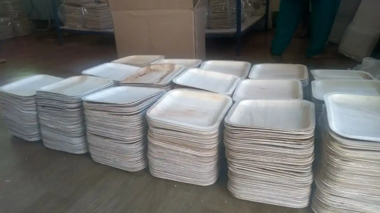 Areca Palm Leaf Disposable Biodegradable Plates And Bowls Natural Eco