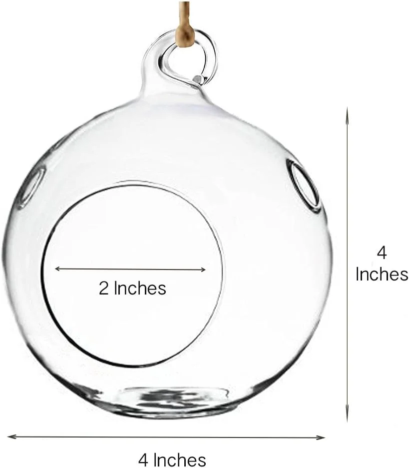 Wholesale Glass Globe Plant Terrarium Home Decor Custom Handblown