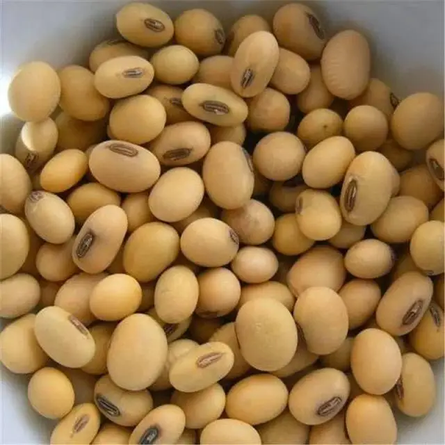 Canada High Quality Soybean/soya Bean Wholesale Nihewan Organic Nongmo