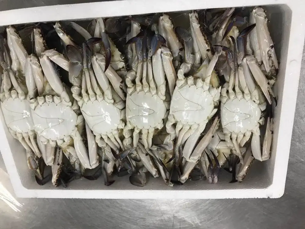 Whole Alaskan King Crab,Alaskan King Crab Legs,Fresh Frozen And Live ...