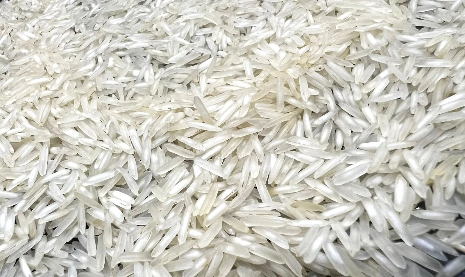 1121 Steam Basmati Long Grain Rice Available For Sale Buy Rice