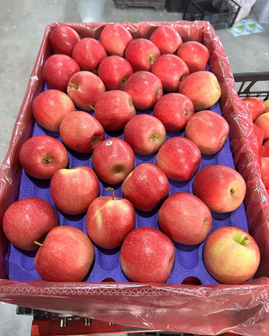 Fresh Apple/red Fresh Apple/ Tropical Fruit In Bulk Buy Fresh Red Delicious Apple Fruit Fresh