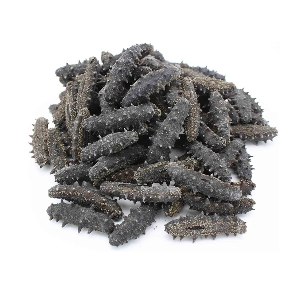 Sell Blake Dried Sea Cucumber Trepang Sea Slug Dried Prickly Sea Cucumber Wholesale Buy
