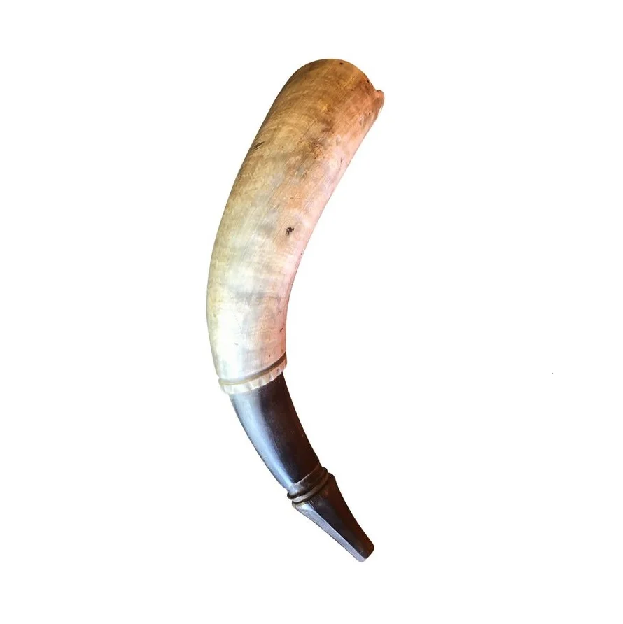 Modern Style Buffalo Powder Horn Different Size And Wood Plug And Tip ...