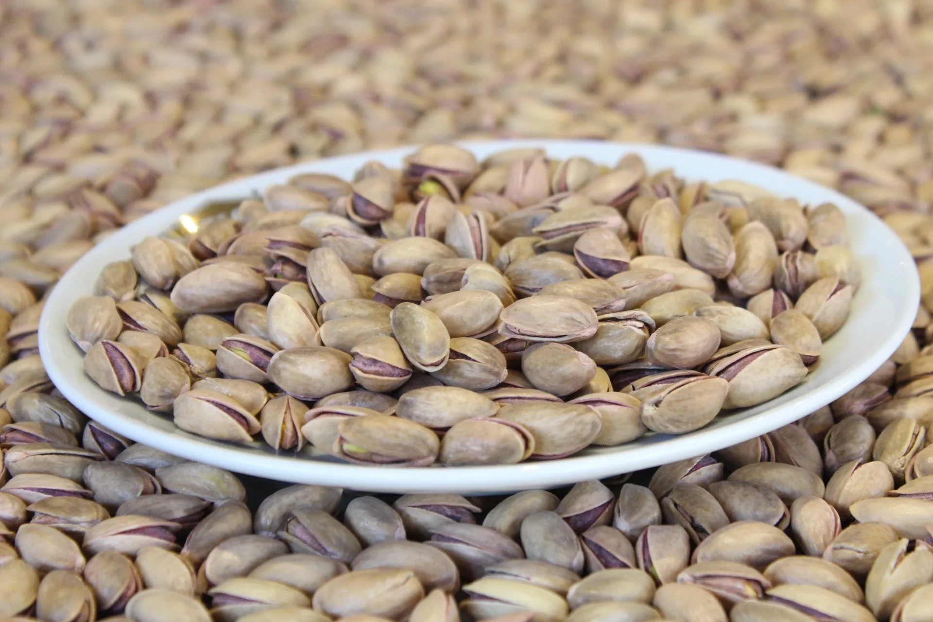 Buy High Quality Cheap Price Pistachio Nuts Buy Cashew Nuts Pistachio