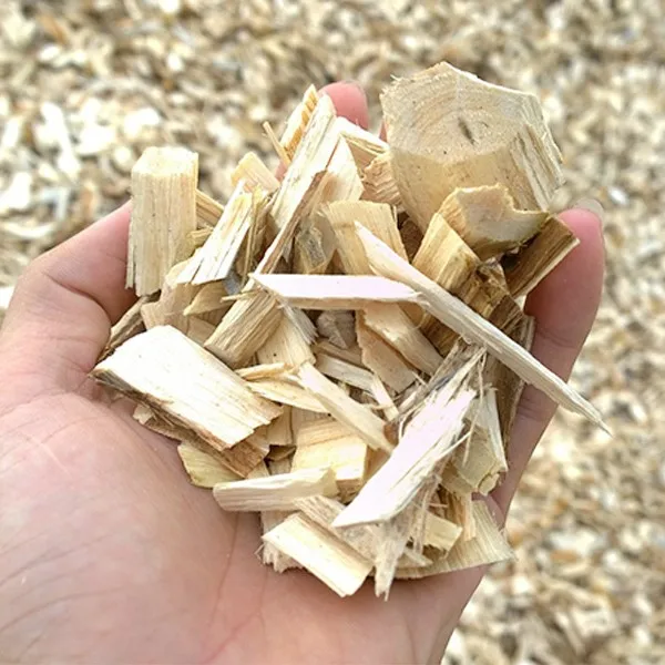 High Quality Wood Chip/ Wood Pulp From Vietnam At Lowest Price Buy
