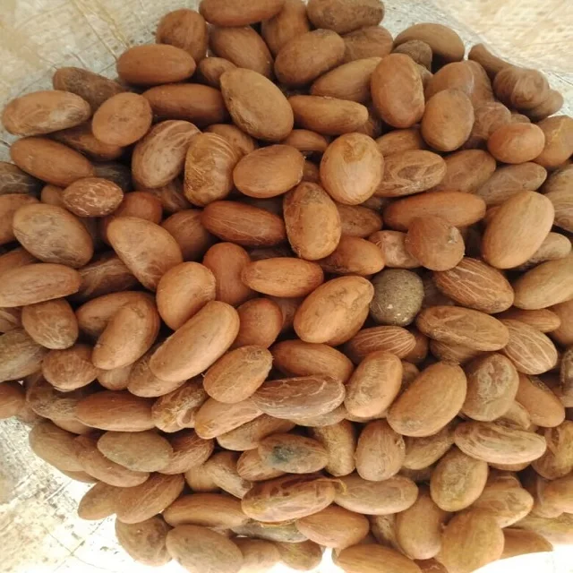 Wholesale Kola Bitter Kola Nuts Buy Bitter Kola,Kola Nuts For Sale