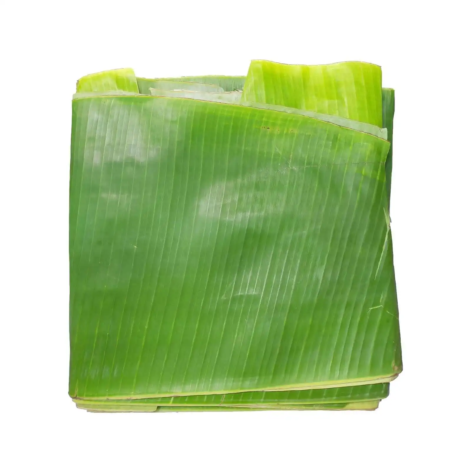 Fresh Banana Leaves For Sale From Vietnam With High Quality And Export