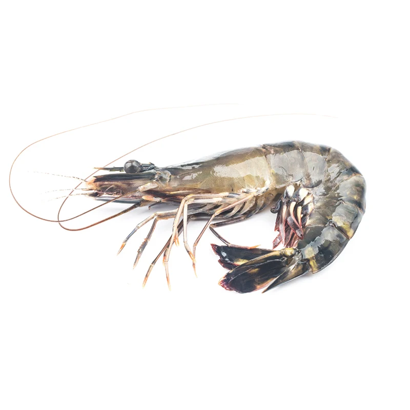 Wholesale Bulk Packaging Fresh Seafood Healthy Food Freshwater Live