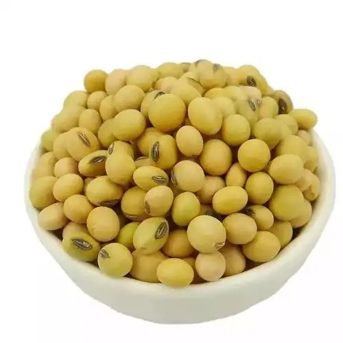 Canada High Quality Soybean/soya Bean Wholesale Nihewan Organic Nongmo