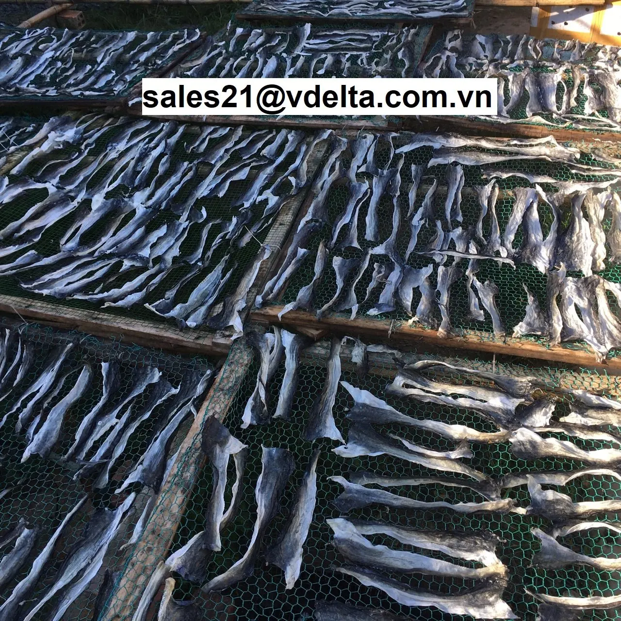 COD Fish Skin// COD Fish Skin in Bulk| Alibaba.com