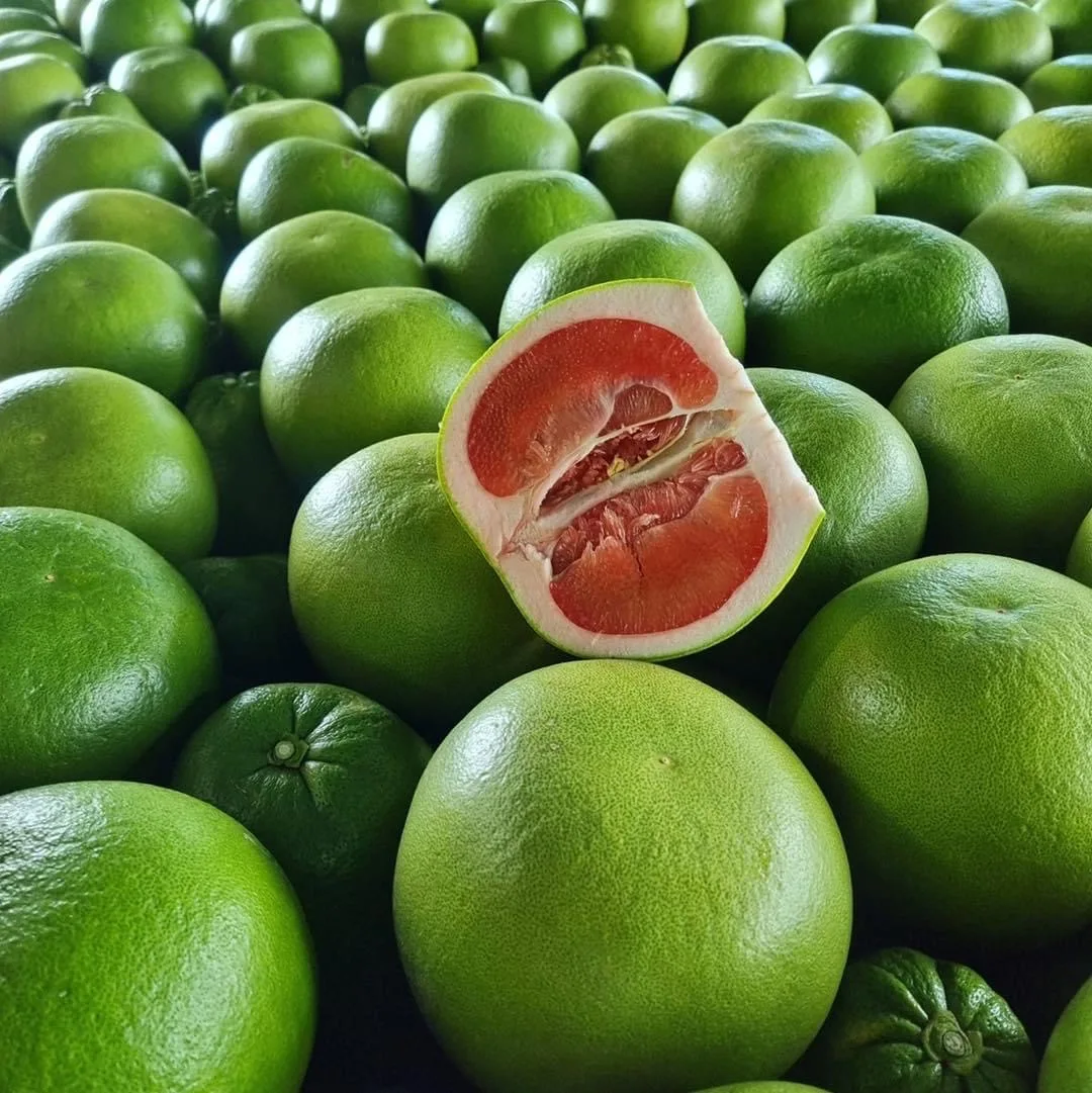 Best And Premium Grade Of Siam Ruby Red Pomelo From Thailand Fresh