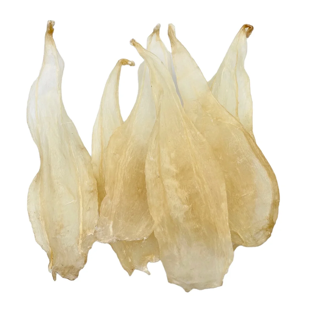 Dried Fish Maw With High Quality & The Best Price / Customize Packing Buy Dry Croaker Fish Maw