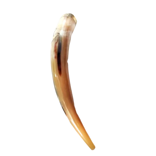 Buy Hand Crafted Viking Drinking Horn With Brass Rim 400 To 500 Ml Mug