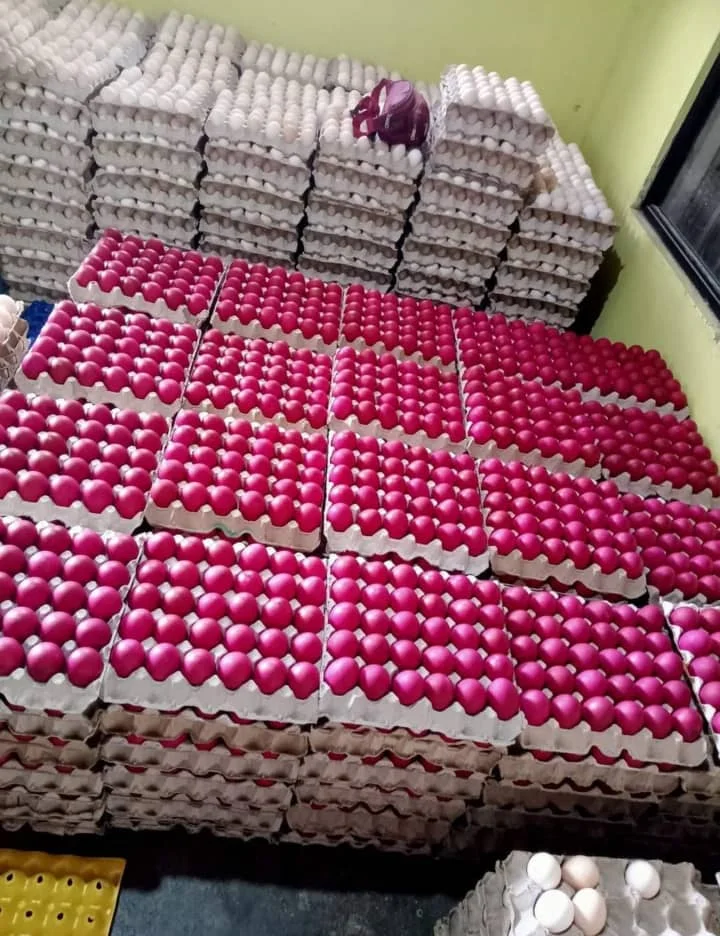 Fresh Chicken Table Eggs Brown And White Fresh Brown White Table Eggs