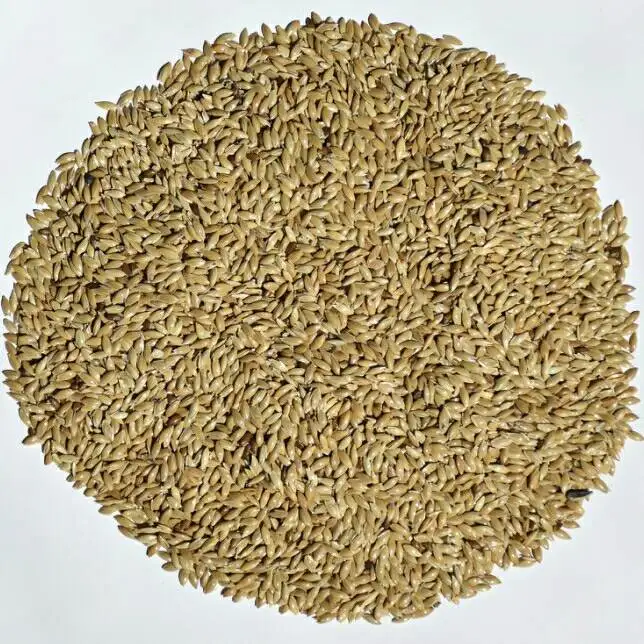 Wholesale Canary Seeds Organic Canary Bird Seeds For Sale High Quality