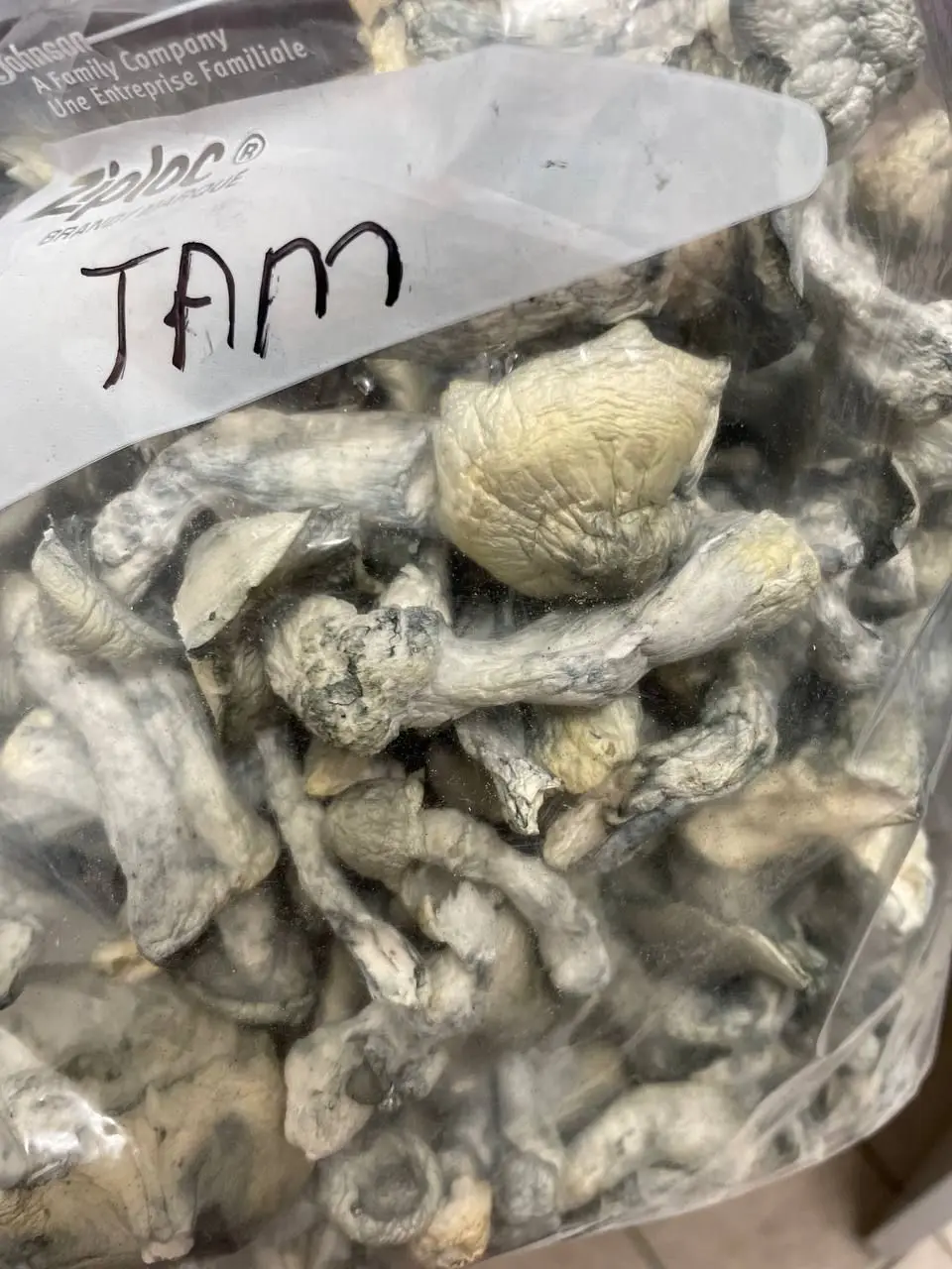 Wholesale Bulk Morel Mushroom Dried Morel Mushroom For Human