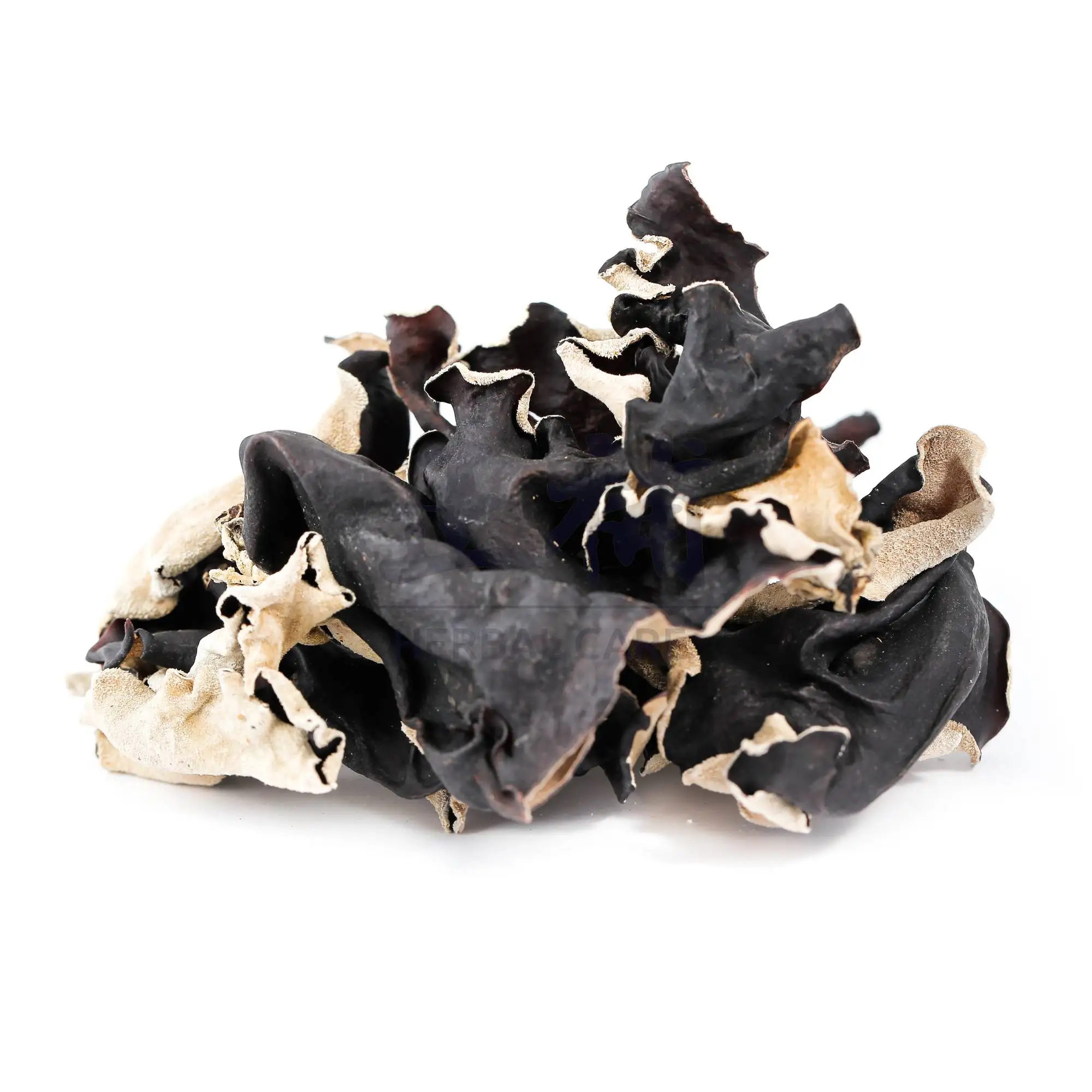 Hot Sale 2023 Dried Whole Wood Ear Mushroom Choose High Nutrient With