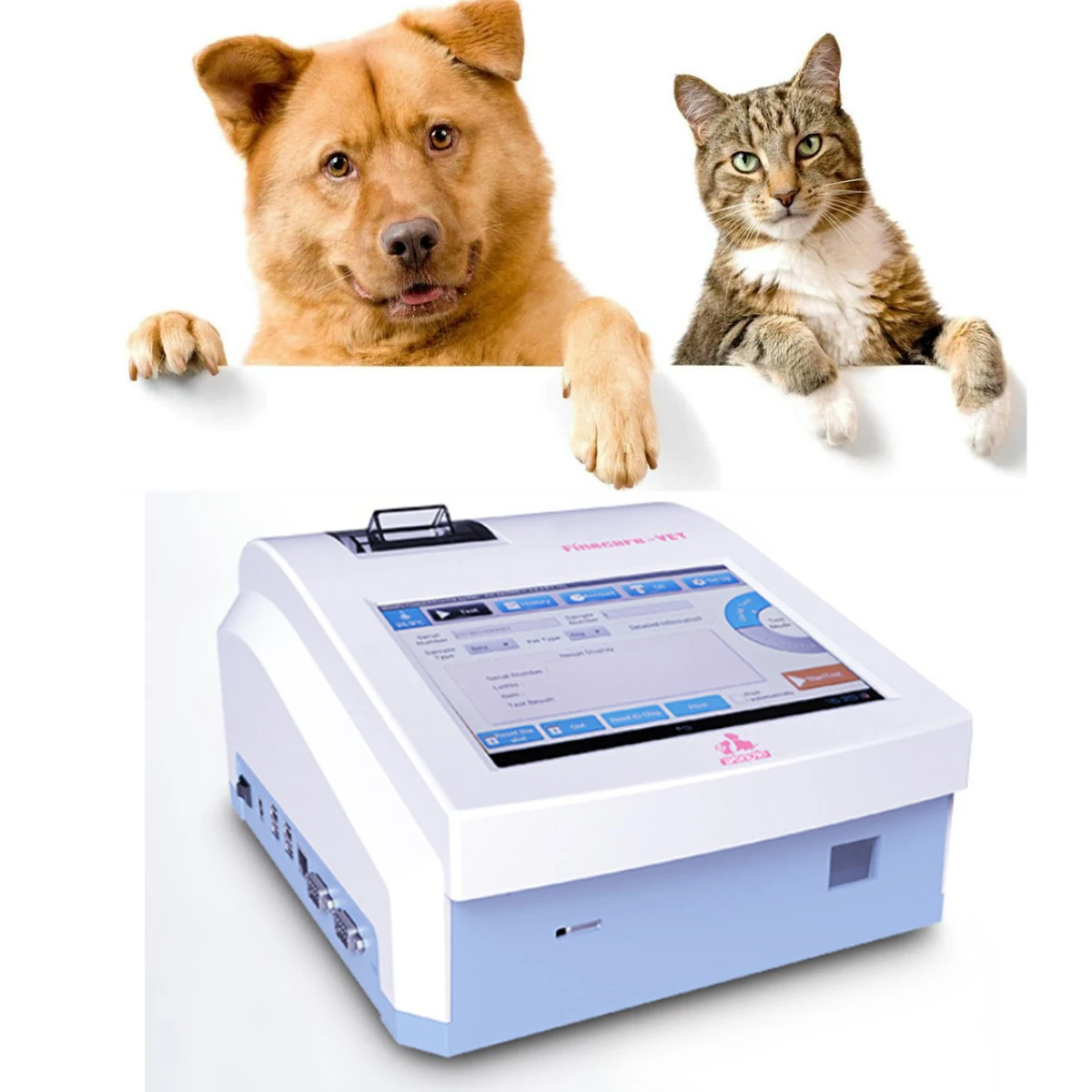 Immunoassay Analyzer Dog Sheep Pet Clinic Analyzer Pregnancy Test