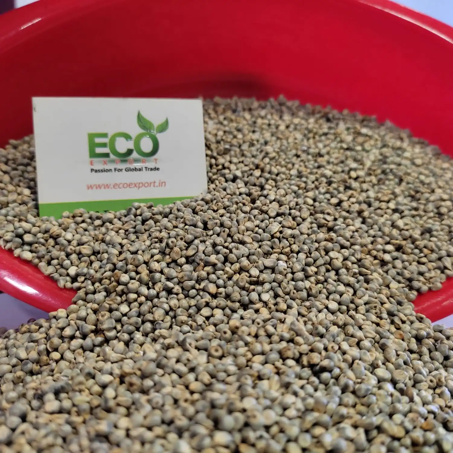 Bird Feed Green Millet Buy Best Bird Feed New Crop Millet Low Rate