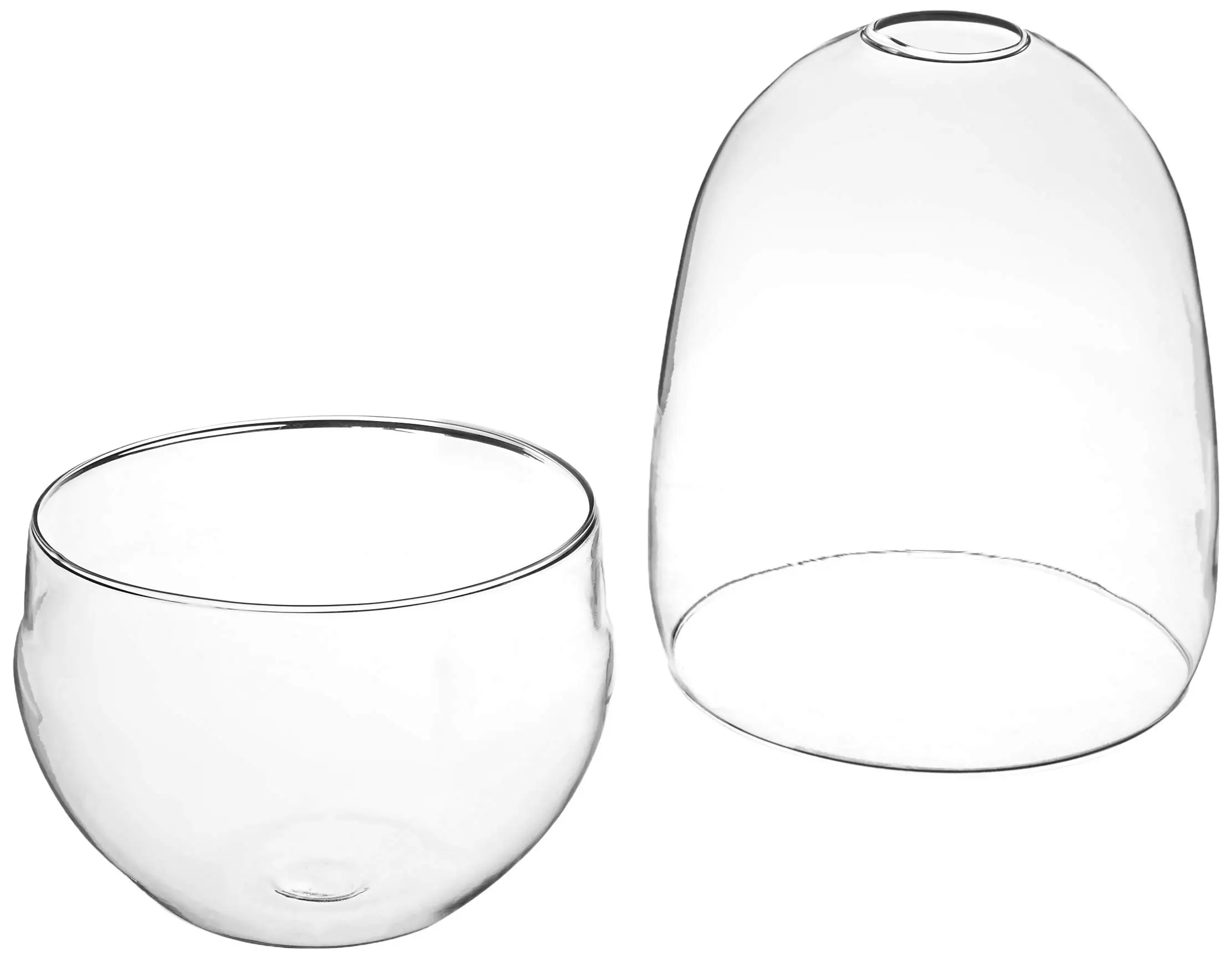 Eggshaped Glass Terrarium Wholesale Home Decor Handicraft Plant