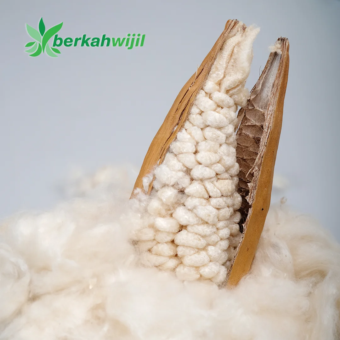 100 Natural Kapok Fiber Organic Kapok Fibre Java Silk Cotton Hot