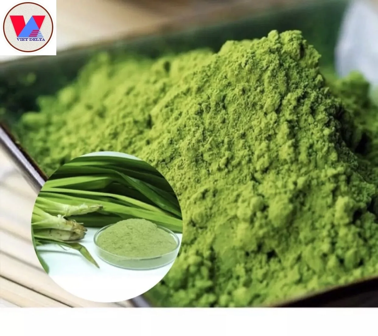 100 Pure Pandan Extract Powder From Vietnam Buy Wholesale Pandan Leaf Powder Extract Pandan