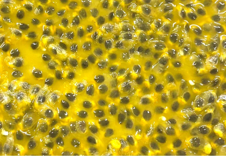 Bqf Frozen Passion Fruit Pulp With Seeds For Long Time Use Whole Pulp