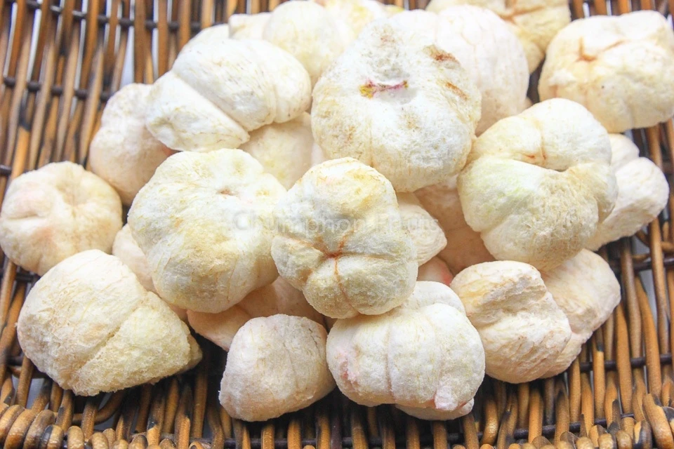 Premium Freeze Dried Mangosteen From Thailand Buy Fruit Dried Fruits