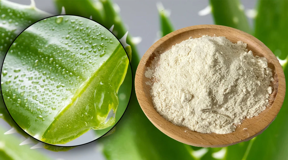 Wholesale Pure Aloe Vera Leaf Extract Natural Aloe Vera Gel Freeze
