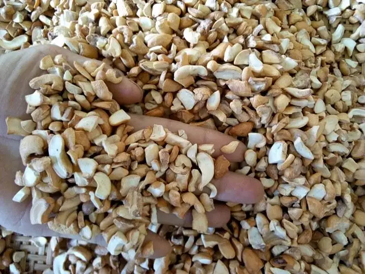 available with bulk quantity broken cashew nut factory direct for sale broken cashew nuts