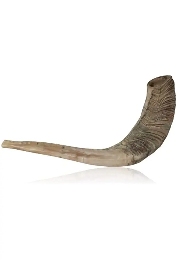 Hot Selling Natural Ram Shofar Horn For Blowing With Exciting Offer