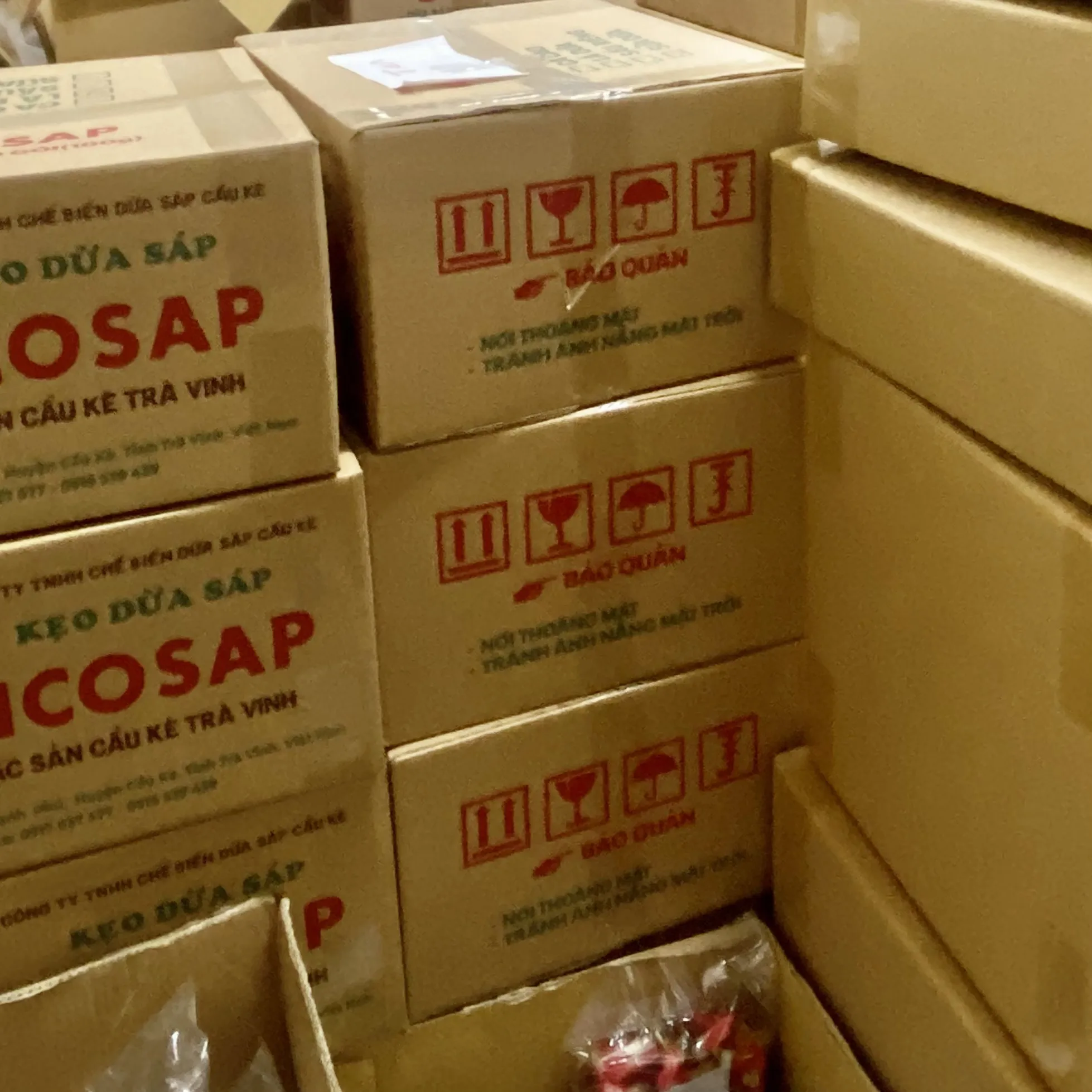 Freezedried Coconut Yogurt Fermented From Macapuno Coconut Vicosap