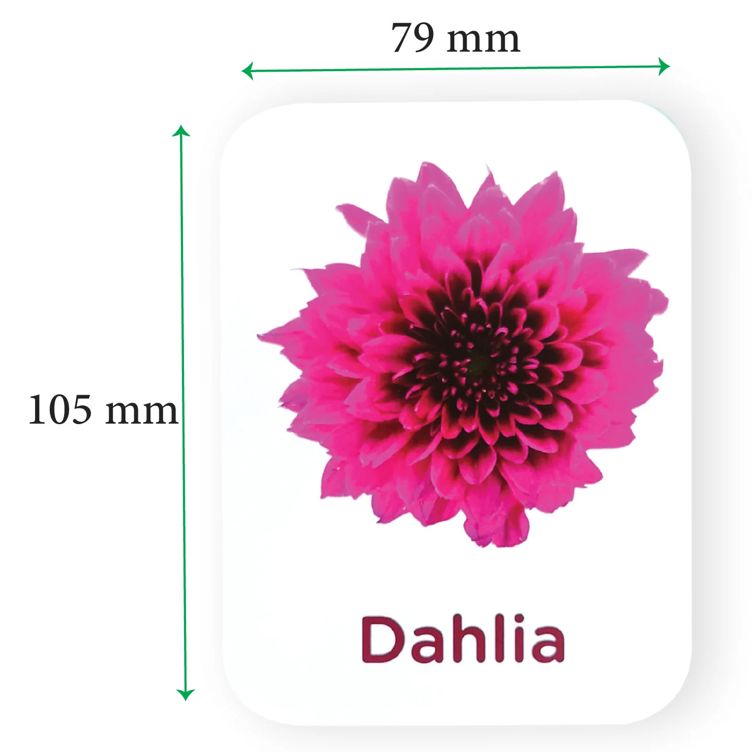 Custom Printing Educational Kids Children Flashcard Sight Words Flash