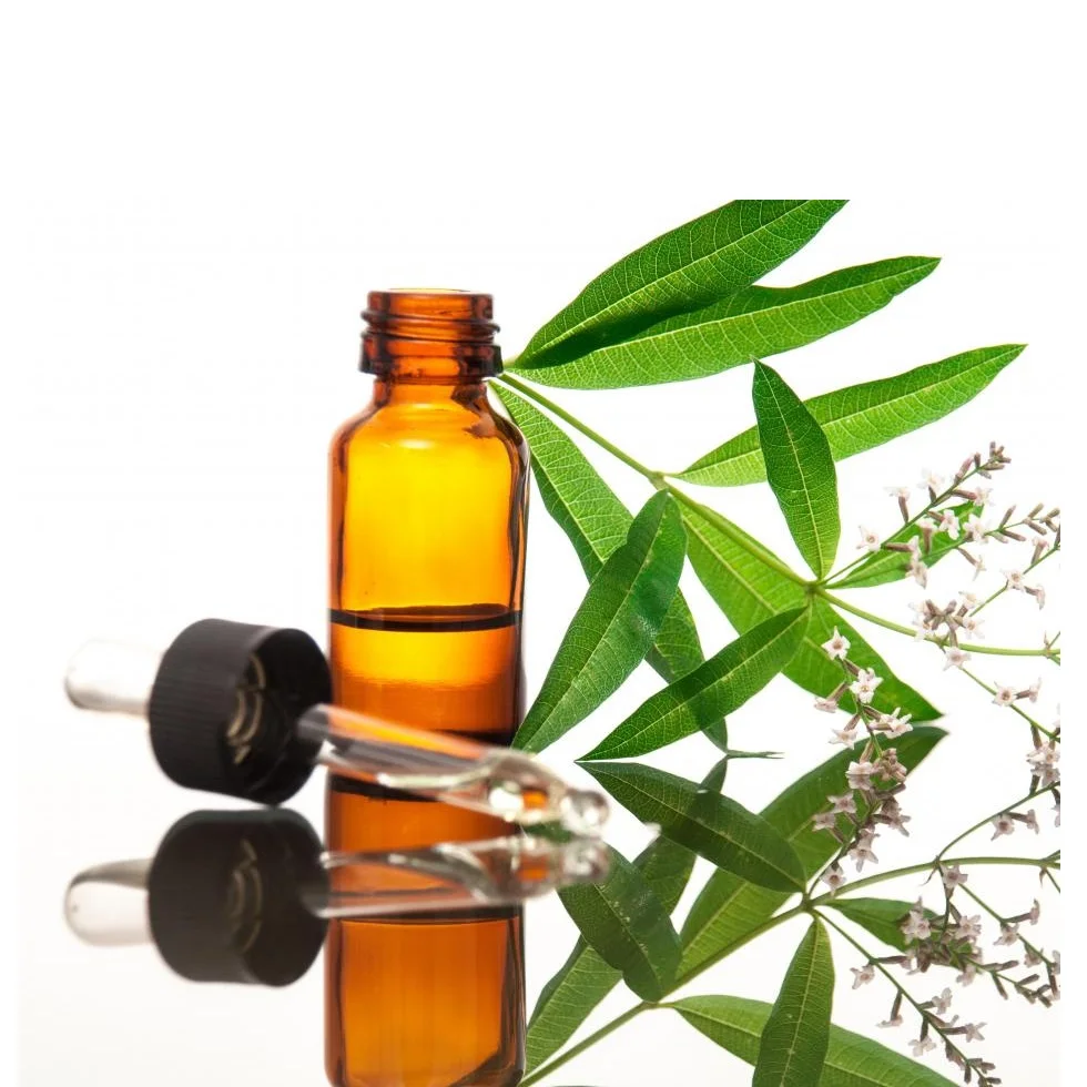 Verbena (aloysia Citriodora ) Oil Lemon Verbena Leaves Oil Verbena