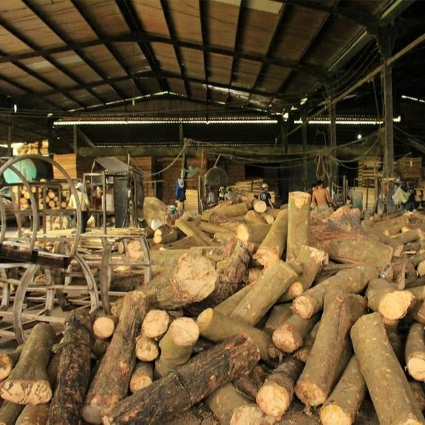 Sawn Acacia Wood Good Price Natural Acacia Wood Sawn For Export High