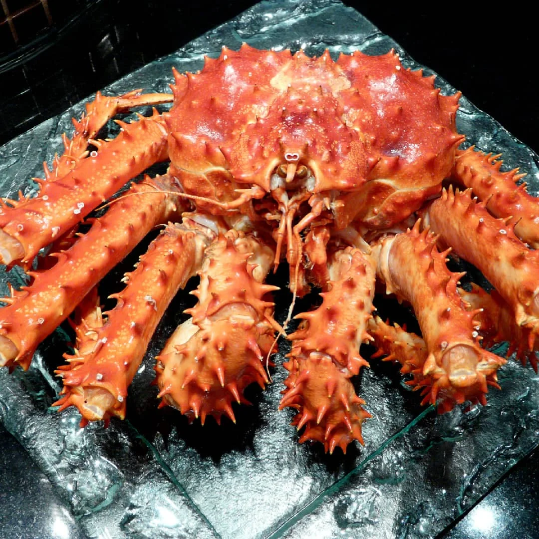 Red Alaskan King Crab/fresh Frozen And Mud Crabs Red King Crabs Soft Shell Crabs/blue Crab Buy