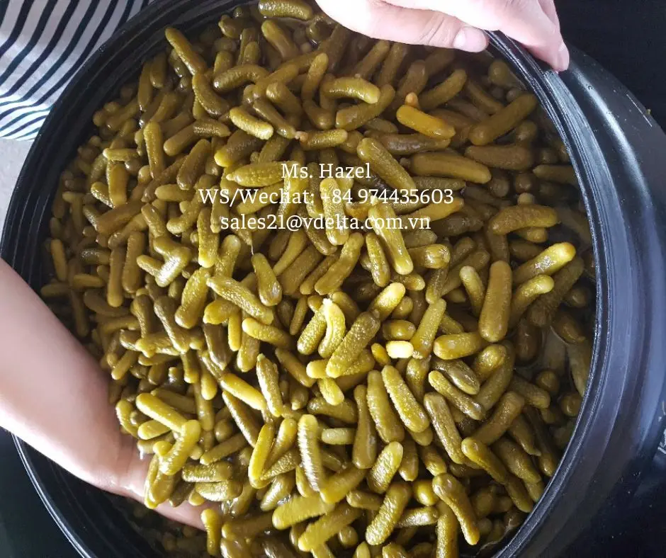 Salted Pickled Whole Cucumbers For Food Export/cheap Price Canned Baby