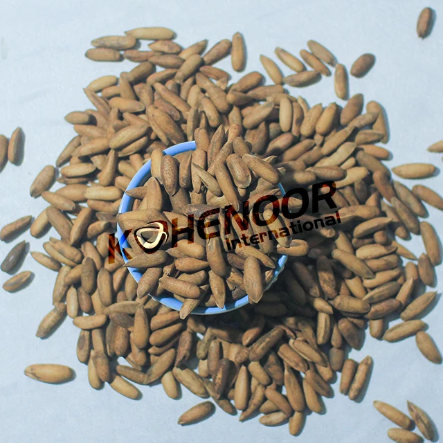 Top Quality Pine Nuts Kernels Free Sample Available Chillghoza Pine