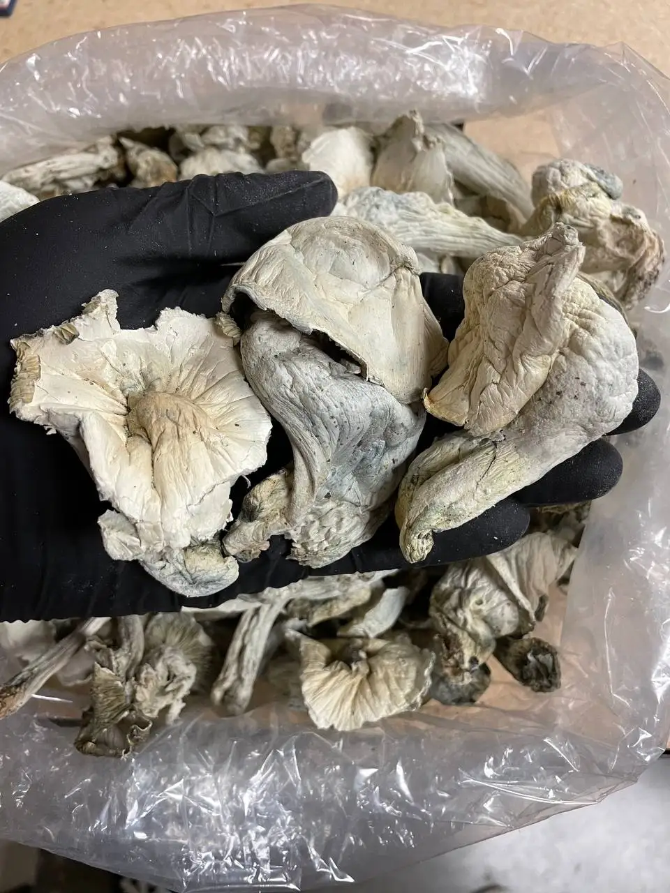 Factory Price Dried Shiitake Mushroom Chips For Sale/dried Vegetable