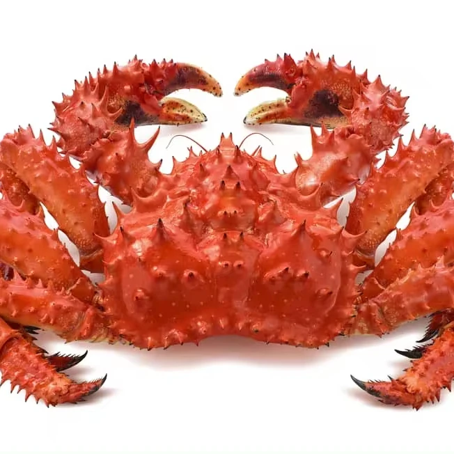 2024 Wholesale Fresh King Crab / Frozen Crab / Whole Crab For Export