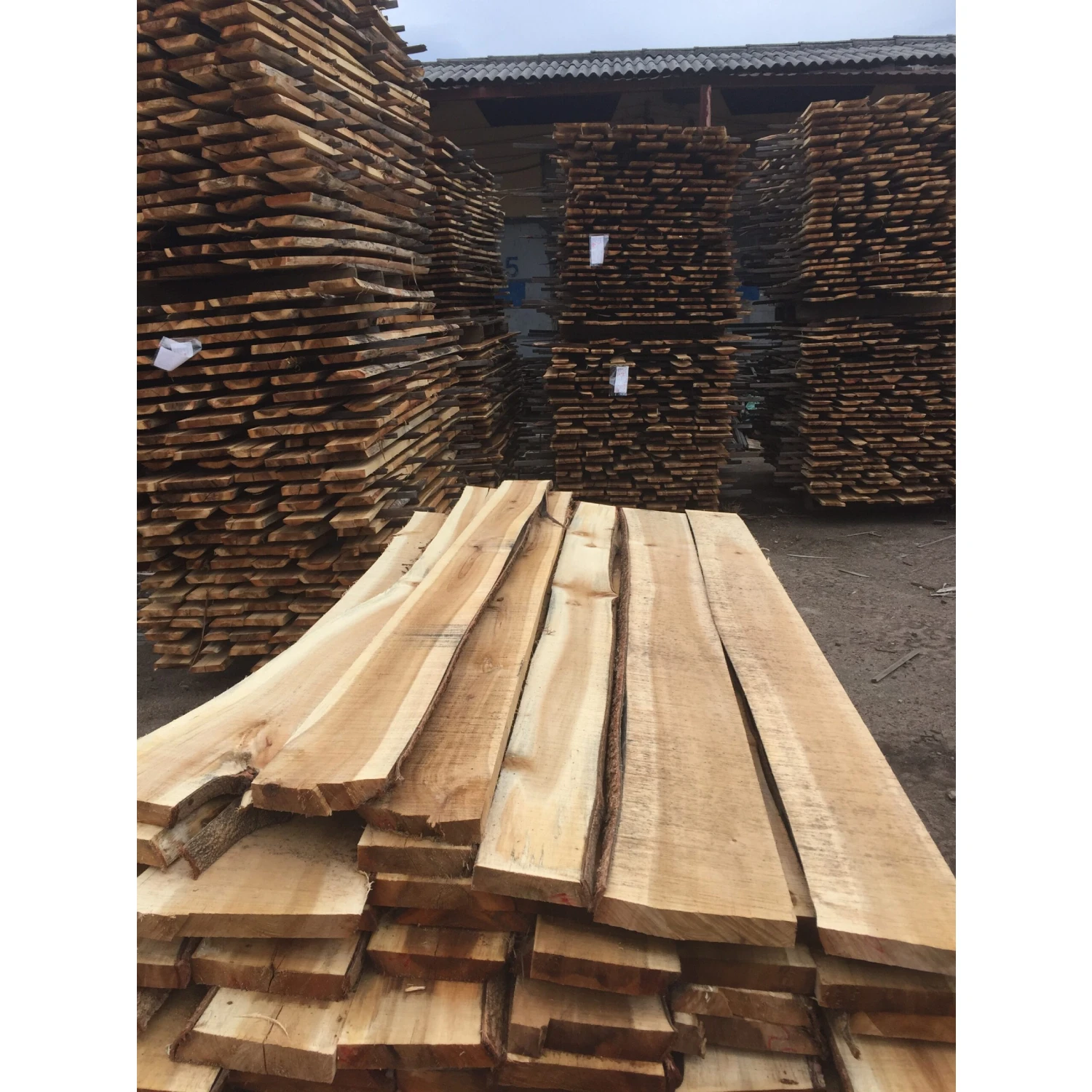 Hot Selling Acacia Wood Timber With High Quality For Making Wood Pallet