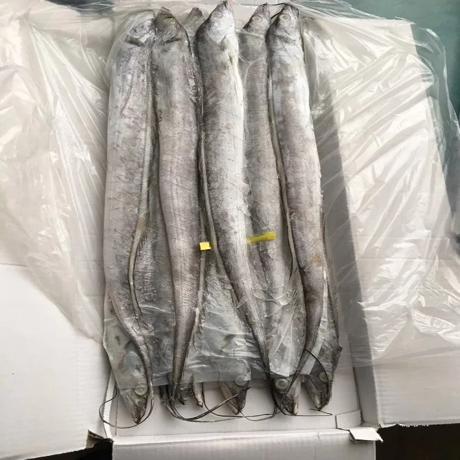 Frozen Ribbon Fish Iwp Indonesian Frozen Ribbon Fish Suppliers And